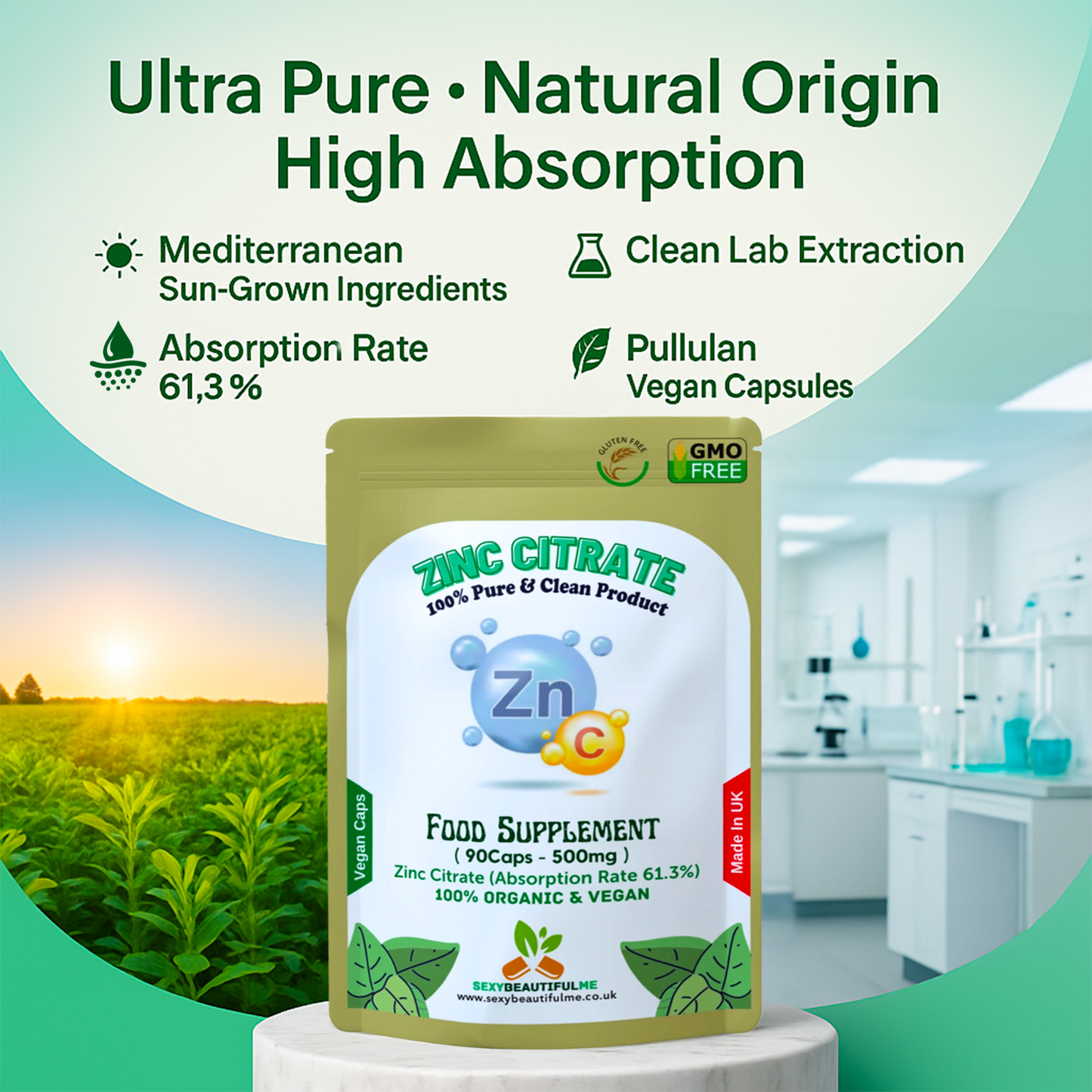 Zinc Citrate 500mg Capsules – High Strength Immune Support – Vegan Supplement