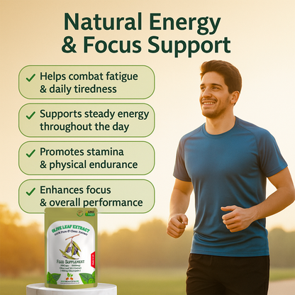 Olive Leaf Extract Capsules 10000mg(400mg Oleuropein)-Weight Control & Immunity