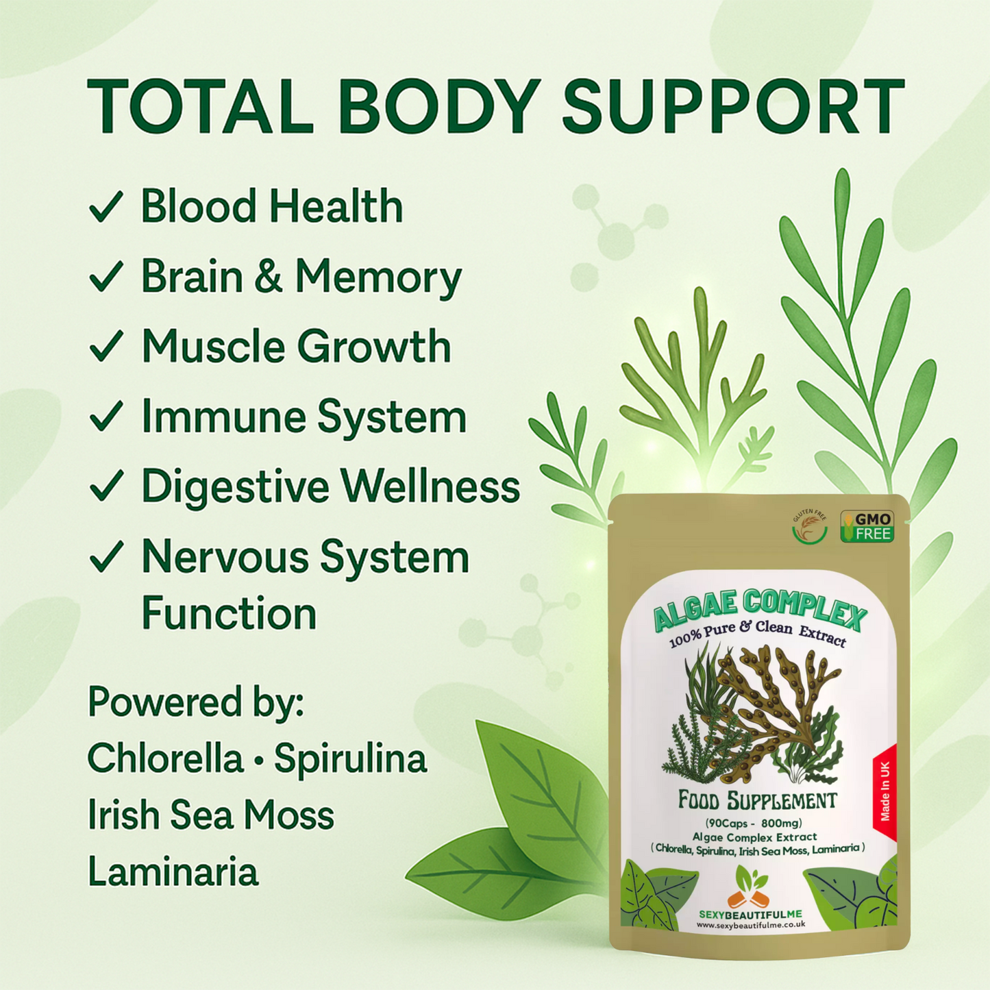 Algae Complex Capsules 800mg-(Quercetin &Bromelain)-Bodybuilding & Brain Support
