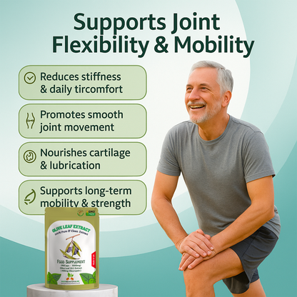 Olive Leaf Extract Capsules 10000mg(400mg Oleuropein)-Weight Control & Immunity