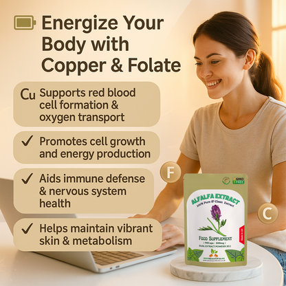 Alfalfa Extract Capsules 500mg-Vegan Caps-Help With Cholesterol &Blood Sugar