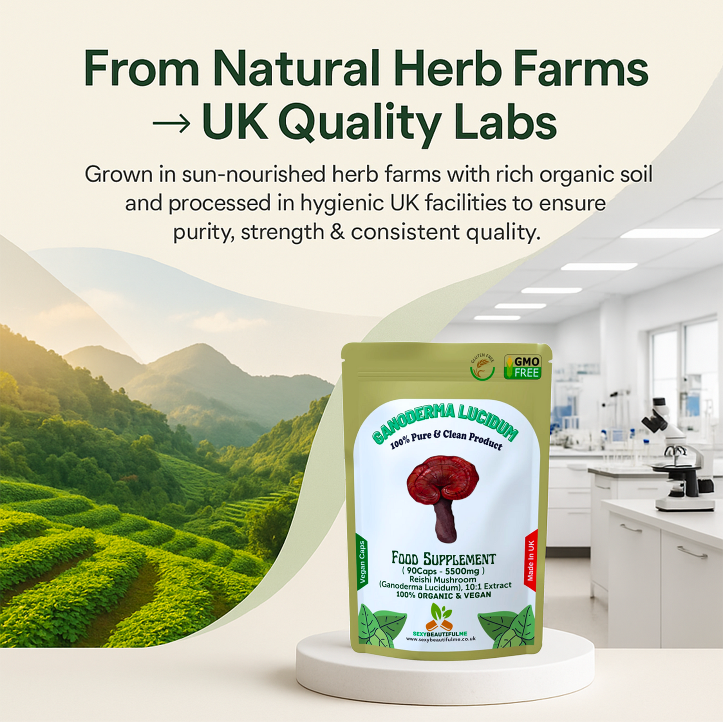 Reishi Mushroom 5500mg Capsules (Ganoderma Lucidum) – Strong & Effective – Vegan