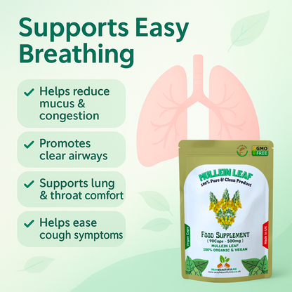 Mullein Leaf Capsule 500mg–High Strength Natural Supplement–Vegan Health Support