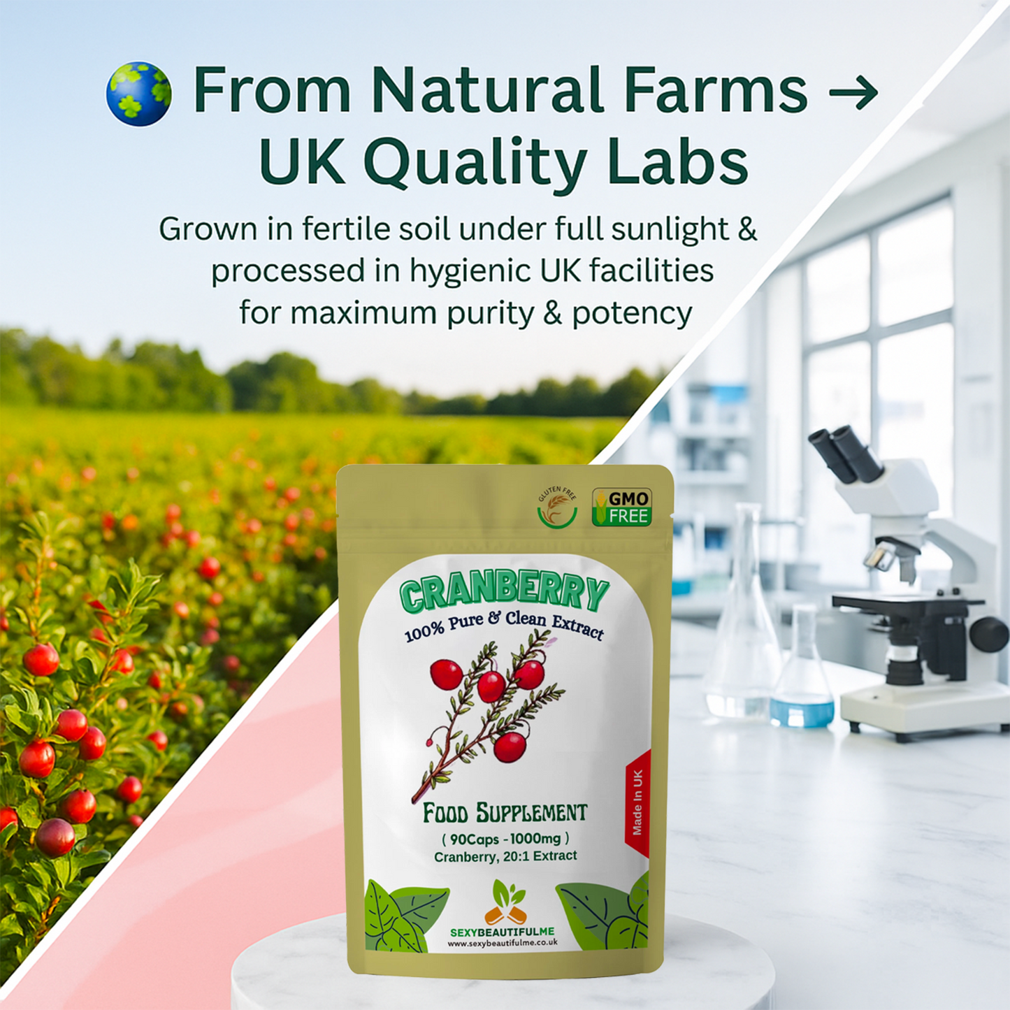 Cranberry Extract Capsules 20,000mg | Natural Vegan Supplement | Urinary Tract