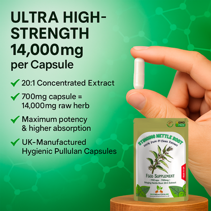 Stinging Nettle Root Extract Capsules 14,000 mg-Genuine•Strong•Vegan•100%Natural