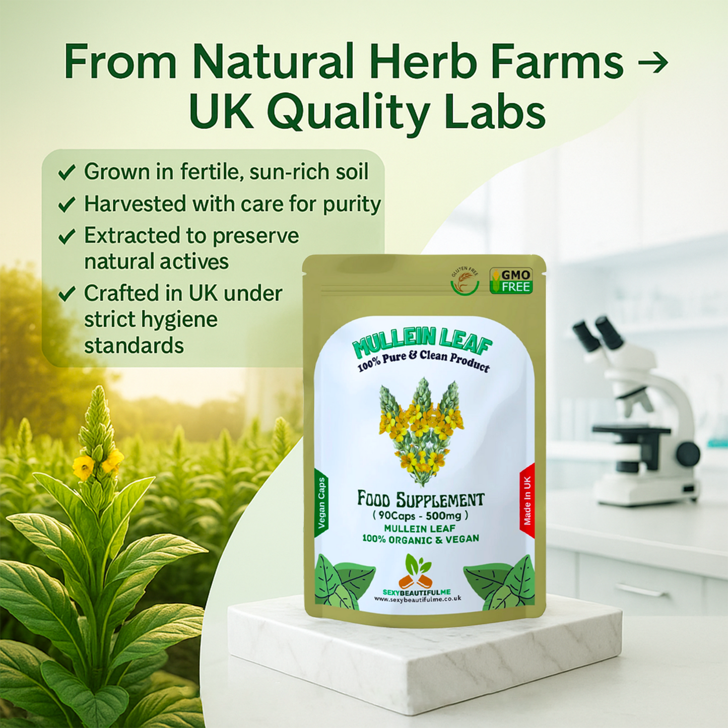 Mullein Leaf Capsule 500mg–High Strength Natural Supplement–Vegan Health Support