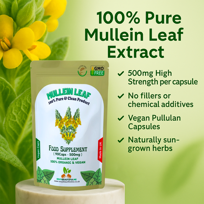 Mullein Leaf Capsule 500mg–High Strength Natural Supplement–Vegan Health Support