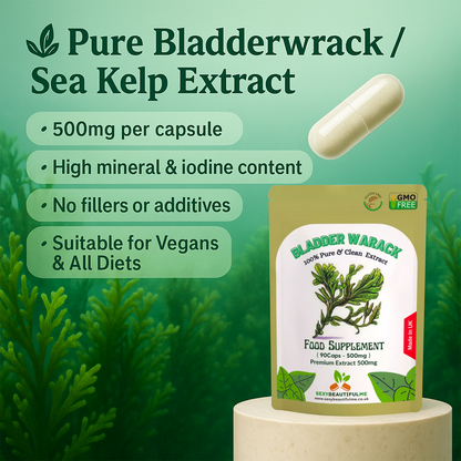 Sea Kelp (Bladderwrack Extract) Capsules 500mg–100% Natural–High Strength–Vegan