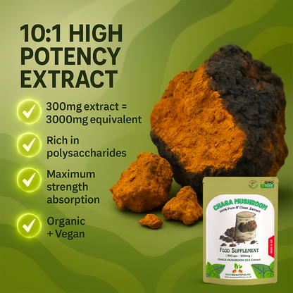Chaga Mushroom Extract Capsules 3000 mg – 200 mg Polysaccharides – Strong Vegan