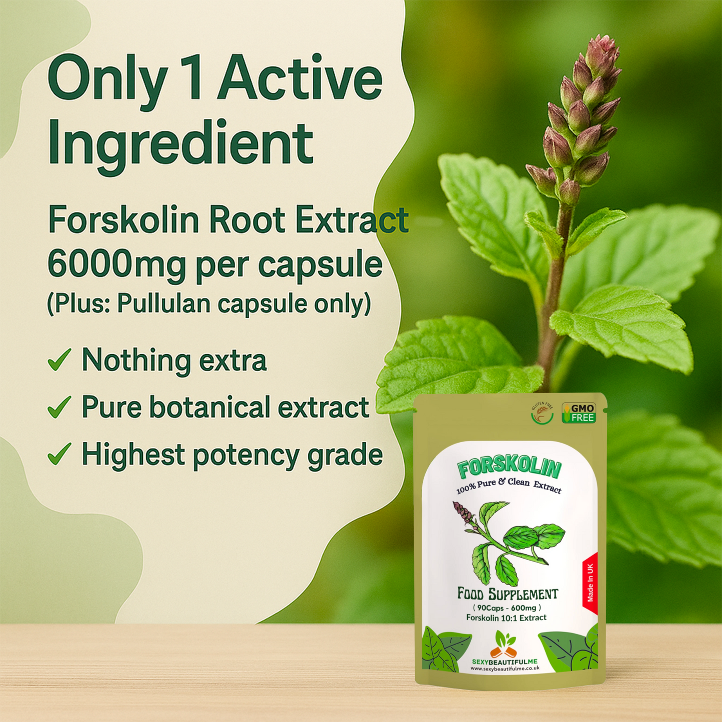 Forskolin Root 6000mg–10:1 Extract–Vegan Fat Burner & Slimming Support Capsules