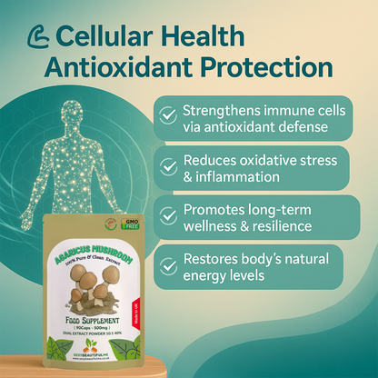 Agaricus Mushroom Extract Capsules 5000mg-40% Polysaccharides-Support Immunity