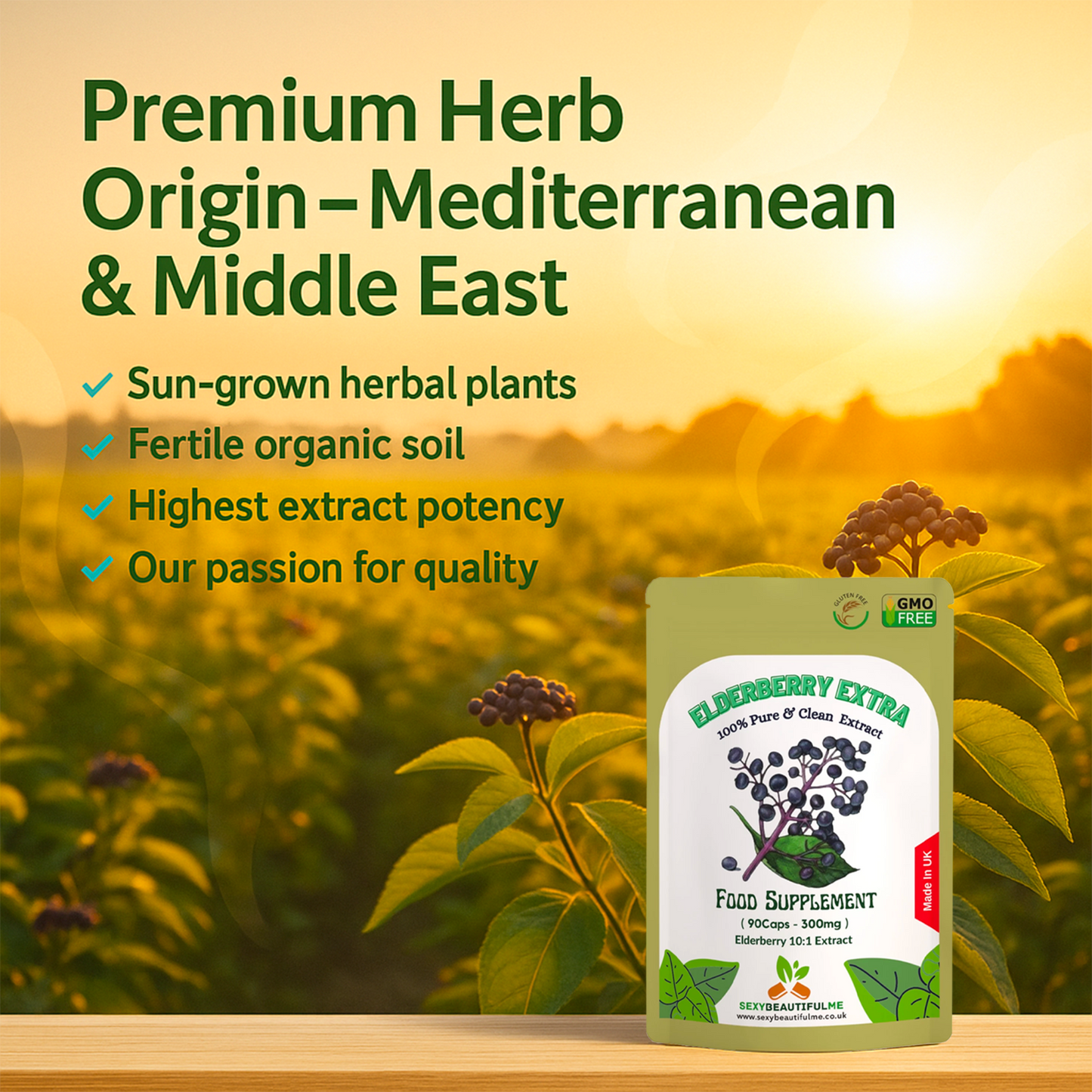 Sambucus Elderberry Capsules 300mg-(10:1 Extract, 3000mg)-100% Vegan & Natural