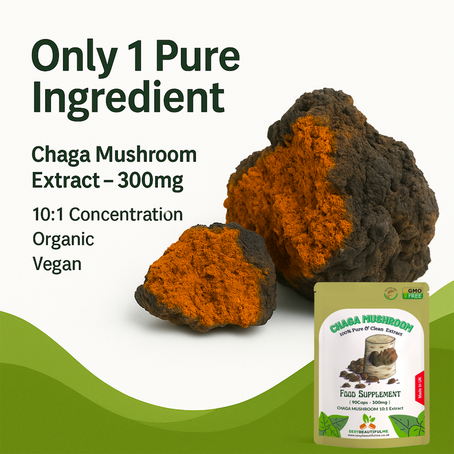 Chaga Mushroom Extract Capsules 3000 mg – 200 mg Polysaccharides – Strong Vegan