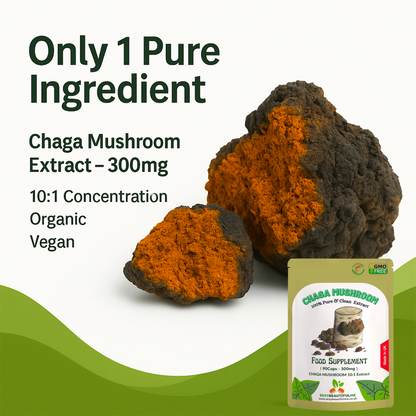 Chaga Mushroom Extract Capsules 3000 mg – 200 mg Polysaccharides – Strong Vegan