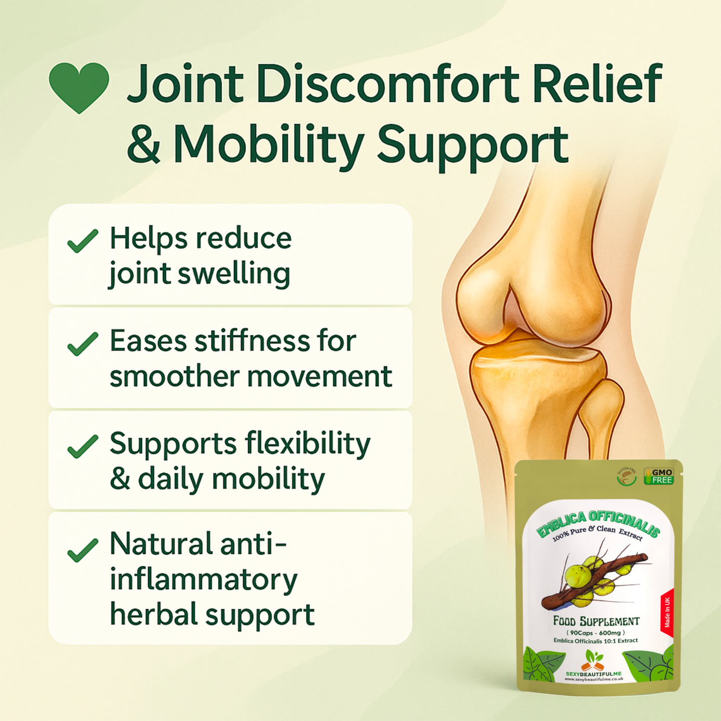 Emblica Officinalis 6000mg Capsules – Organic Amla (Phyllanthus) –Joint & Immune